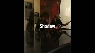Walk in my Shadow