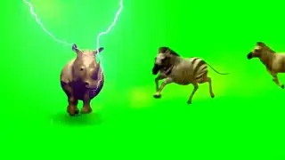 Animals running green screen video|green screen background video|bijli and rain effect green screen