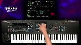 Montage M Tips | Using A Shortcut To Get A Control Overview About The Current Performance