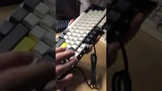 Sound of Tauche.T Speed Silver Switch Keyboard.