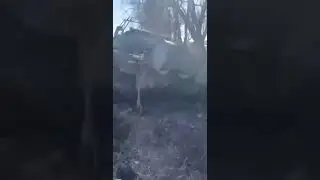 Обстрелянная военная техника армии РФ