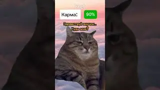 Собака по карме определяет куда их отправить🤯 
