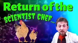 Exothermic Cooking? Using Calcium Oxide to boil an egg.