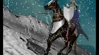Animation