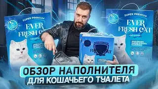 Сравниваем EVER CLEAN и EVER FRESH CAT | Новый комкующийся наполнитель для кошачьего туалета