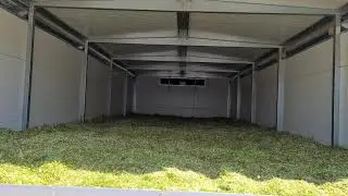 Drying of chamomile