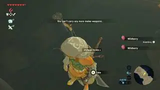 Legend of Zelda Breath of the Wild adventures | 14:Sand surfing and finding the Yiga hideout