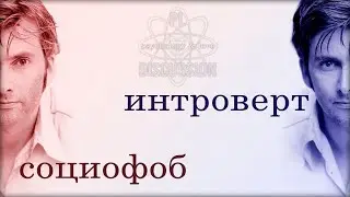 Социофоб и интроверт. Кто больной, а кто преступник?