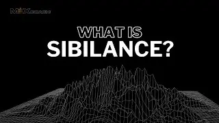 Mixing Engineer Lingo You NEED to Know - Sibilance
