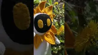 СОЛАР жаждет путешествий в новый дом! Заказажи сегодня на 