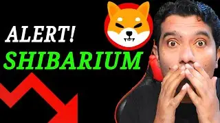 BREAKING NEWS! Shiba Inu: Shibarium UPDATE | #bone Price