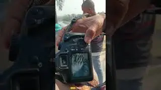 #short