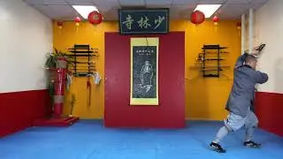 Da Hong Quan 02   Brown Belt