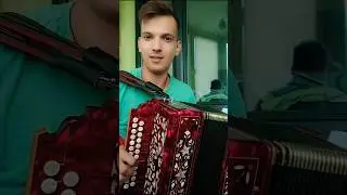 Кое-где волосьев нет #гармонь #частушка #песниподгармонь #цыганочка #наигрыши