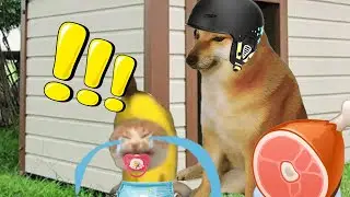 BANANA CAT 🍌🐱 BABY BAD LUCK 😿 VIDEOS 55 ( 2 MINUTES )