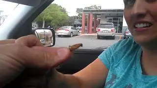 I got my wife to eat a cricket like andrew zimern