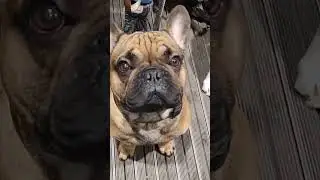 Лучшие друзья !!!