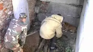 Улетное видео 272 выпуск