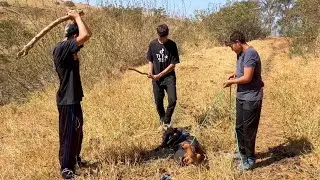 PEGAMOS O CAVALEIRO DA ESCURIDÃO
