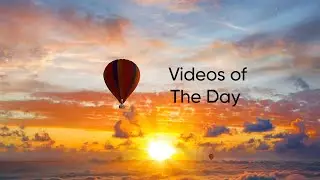 My Videos Of The Day