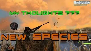 My Thoughts on the NEW SPECIES!!? (Flying)  Call of the WILD THEHUNTER 2018