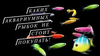 КАКИХ АКВАРИУМНЫХ РЫБОК НЕ СТОИТ ПОКУПАТЬ. Советы !