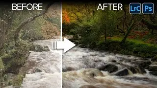 Start to Finish - Forest Glow Scene