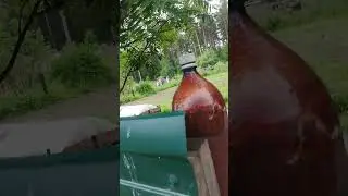 ЗАРОС ОГОРОД 😱😱😱