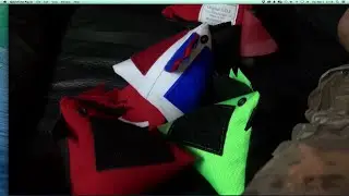 The Origin of the Combat Cock