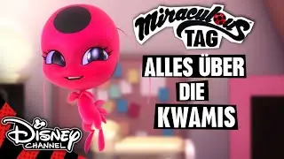 Alles über die Kwamis | MIRACULOUS 🐞🐱