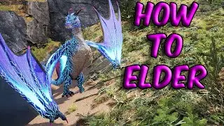 Attempting to discover how to elder in Day of Dragons