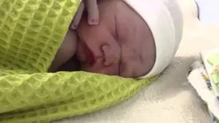 Лева