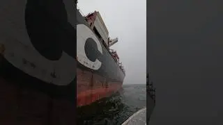 Moving monsters 