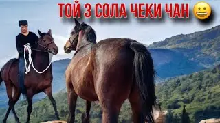 29 октября 2024 г.