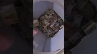 Всё в копилку коплю на полёт в Космос#хобби #копилка #деньги #монеты #мелочь #мечта #коплю