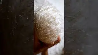 This 