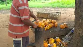 King coconut aka Thembili
