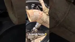 BAMBOO ESCAPE WILL IT BE ANY GOOD?!😳
