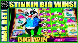 I LANDED STINKIN BIG WINS FIRST TIME PLAYING STINKIN RICH SKUNKS GONE WILD SLOT
