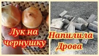 Жизнь Женщины   в деревне. Сажаю огород. Напилила дров