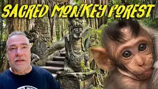 Sacred Monkey Forest and Amazing Villa in Ubud, Bali