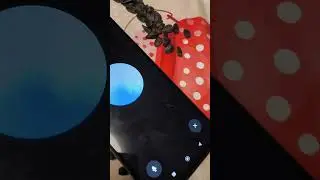 25.10.2024 Чат GPT