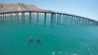 Scuba diving - jetty jump entry Rapid Bay, South Australia