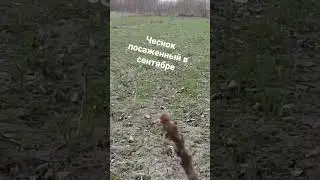 2 апреля 2023 г.