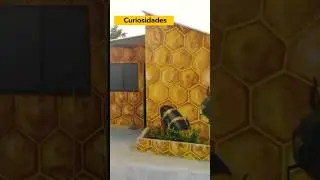¿Sabías porque son hexagonales de las colmenas? 🐝🍯 🌺 🤩🤯 #curiosidades #miel #abeja