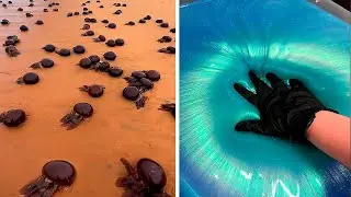 Satisfying Videos of Workers Doing Their Job Perfectly №016