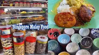 Malay Indonesian Food In Singapore I Walking N Food Tour