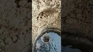 A clogged septic tank filter! #plumber #plumbing