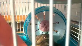 когда с другом не разделил игрушку 😛😛