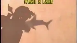 Muppet Sing Alongs: There Was an Old Pirate